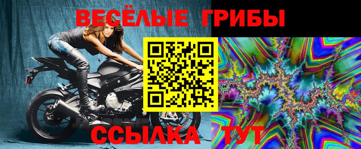 Псилоцибиновые грибы MAGIC MUSHROOMS Троицк